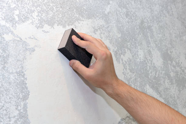 Best Biohazard Mold Removal  in Farmersburg, IN