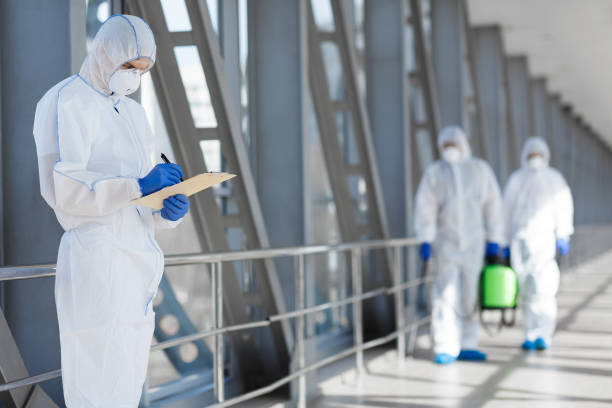 Best Basement Mold Removal  in Farmersburg, IN
