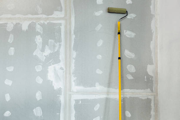 Best Mold Removal for HVAC Installations  in Farmersburg, IN