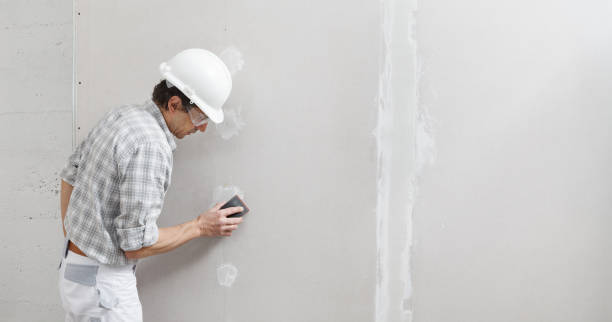 Best Mold Remediation for Vacation Homes  in Farmersburg, IN