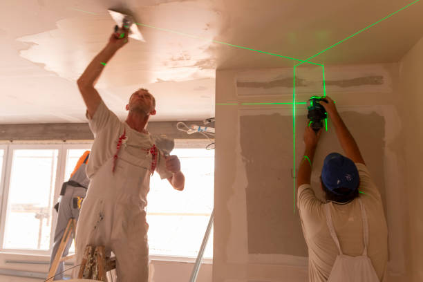 Best Basement Mold Removal  in Farmersburg, IN