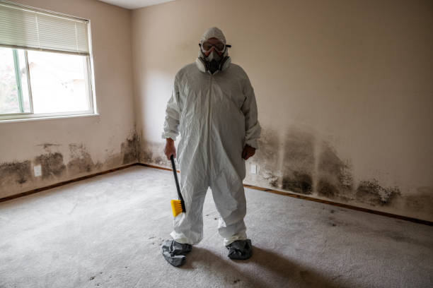 Best Real Estate Mold Inspection  in Farmersburg, IN