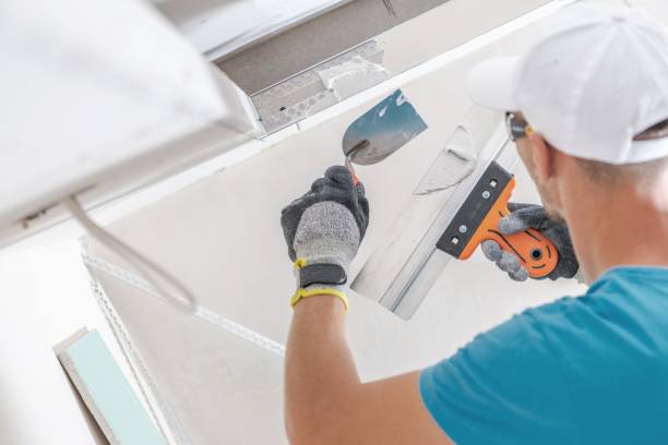 Best Commercial Mold Inspection  in Farmersburg, IN